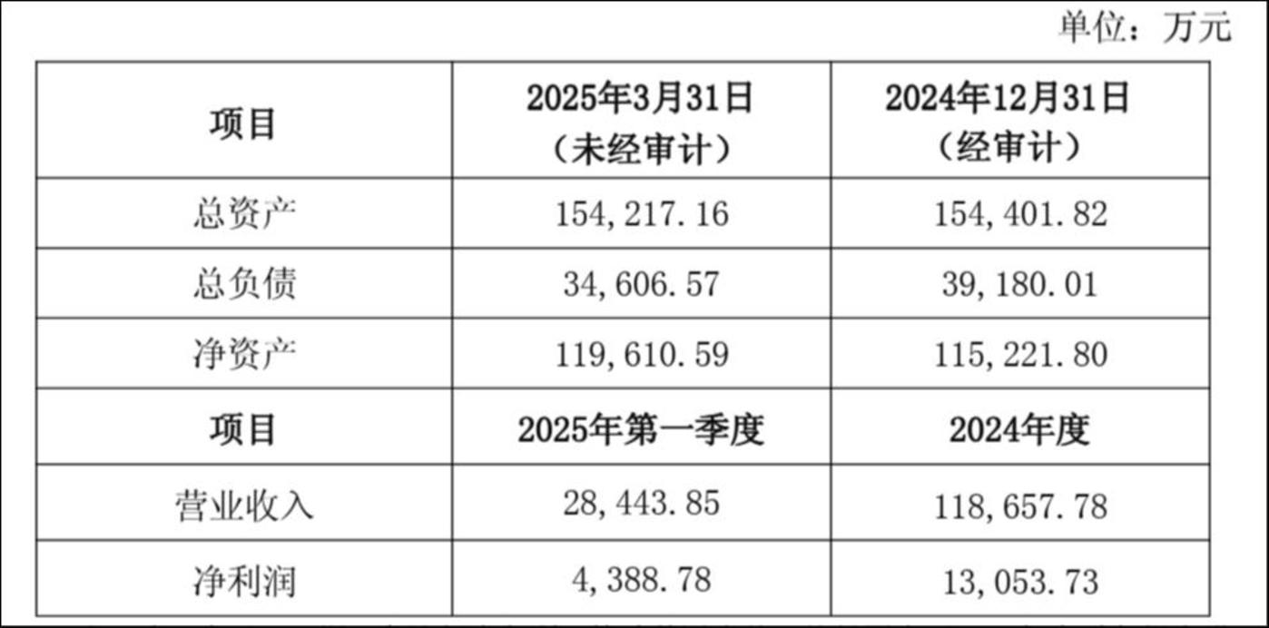 长园电子财务数据