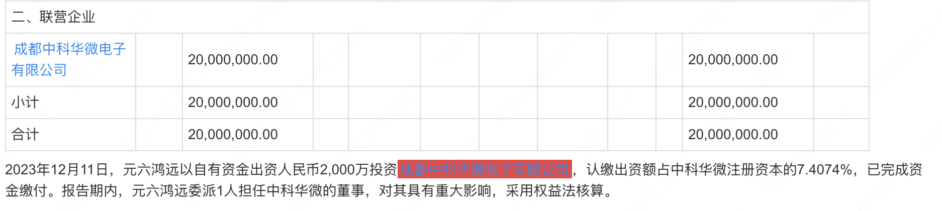 鸿远电子年报