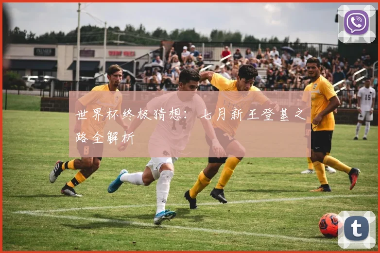 世界杯终极猜想：七月新王登基之路全解析